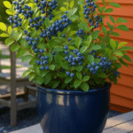 Here’s Why Gardeners Everywhere Are Planting This One Herb in Their Garden