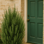 20 Budget-Friendly DIY Raised Garden Beds Made from Easy-to-Find Materials