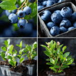 Most People Consider These Cupboards Useless – Here’s the Right Way to Utilize Them