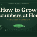 How to Grow Zucchini in Containers (The Beginner’s Guide to Big Harvests in Small Spaces)