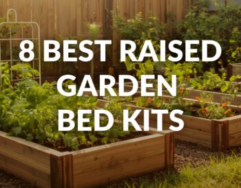 8 best raised garden bed kits