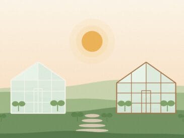 Illustration comparing a white aluminum greenhouse kit and a wooden DIY greenhouse side by side in a sunny backyard