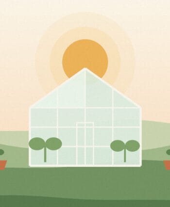 Illustration of a backyard greenhouse at sunrise with stacked timber and potted plants, representing the cost to build a greenhouse