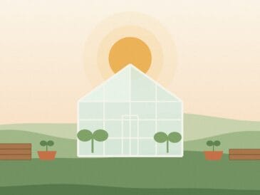 Illustration of a backyard greenhouse at sunrise with stacked timber and potted plants, representing the cost to build a greenhouse