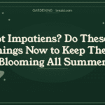 Stop Pulling This Up — It’s Not a Weed (These Common Plants Are Actually Beneficial)