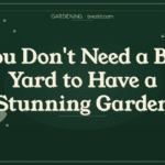 Stop Pulling This Up — It’s Not a Weed (These Common Plants Are Actually Beneficial)